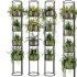 Indoorplants-Stand plant ivy set-164 - Thumbnail 1