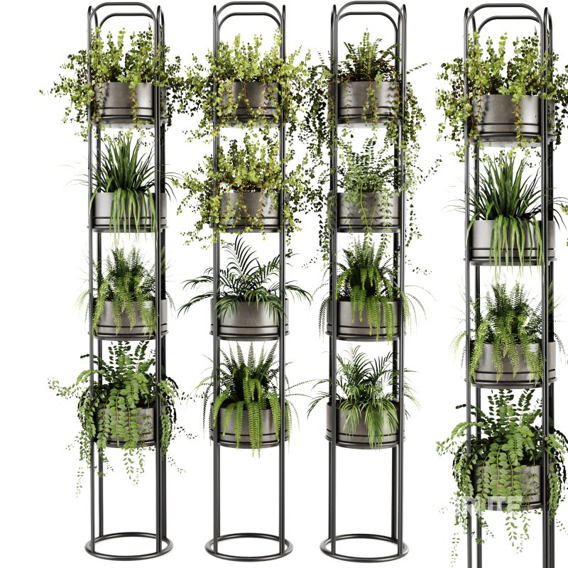 Indoorplants-Stand plant ivy set-164 Image 1