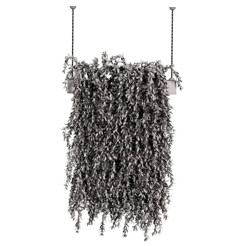 Hanging plant Image 2