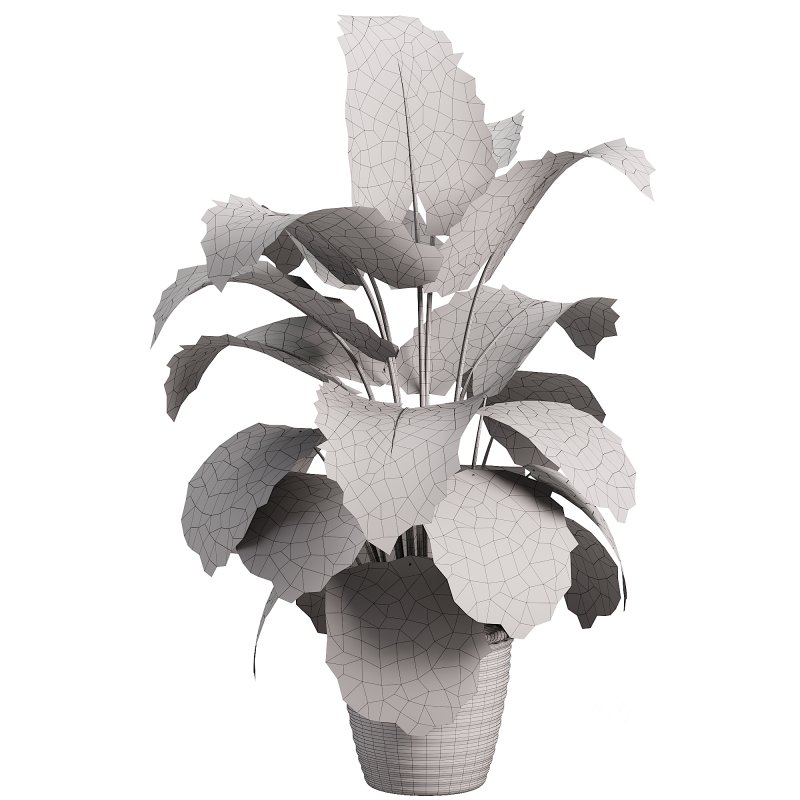 Indoor jungle Image 1