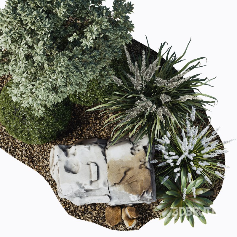 Outdoor Plant 38 Image 3