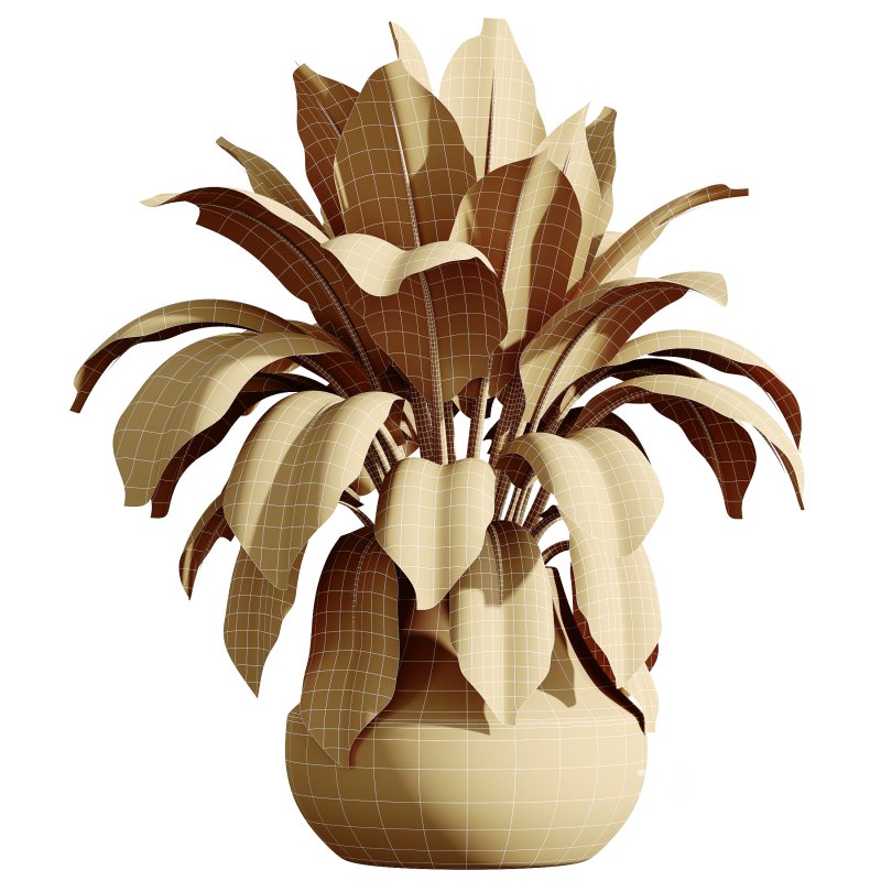 AV HousePlants Ficus Elastica Robusta Abidjan Set02 Image 3