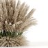 Bush-Pampas-set11 - Thumbnail 2
