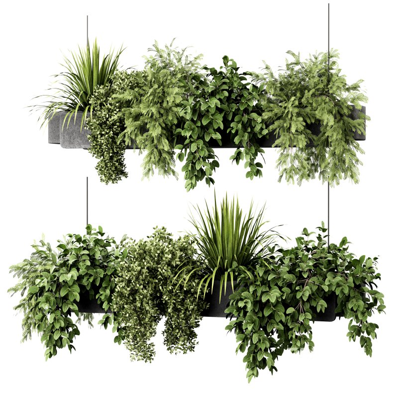 Indoorplants-Hanging plants set-86 Image 5