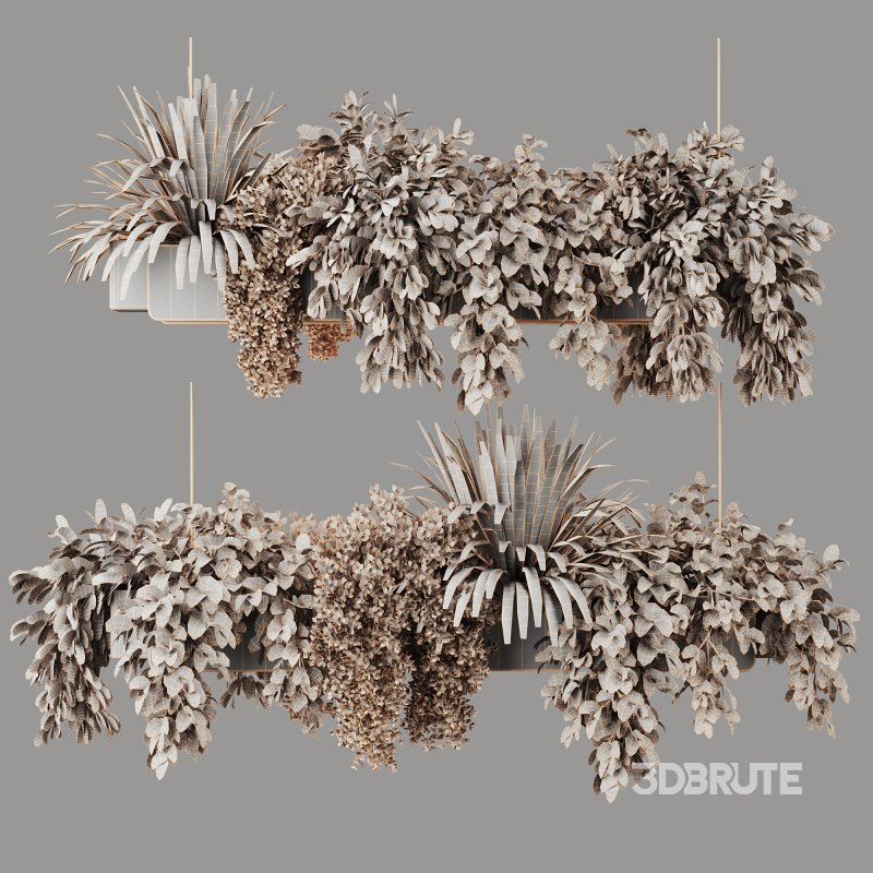 Indoorplants-Hanging plants set-86 Image 4