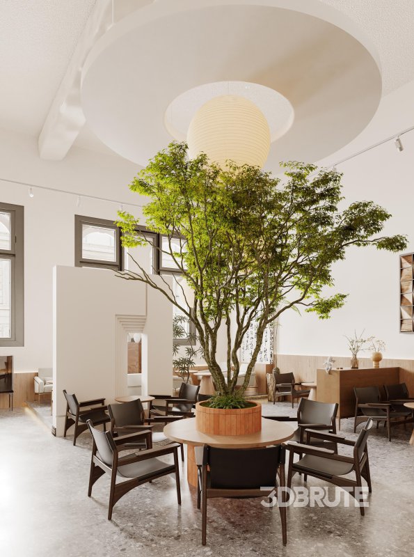 coffee shop cafe restaurant Image 5