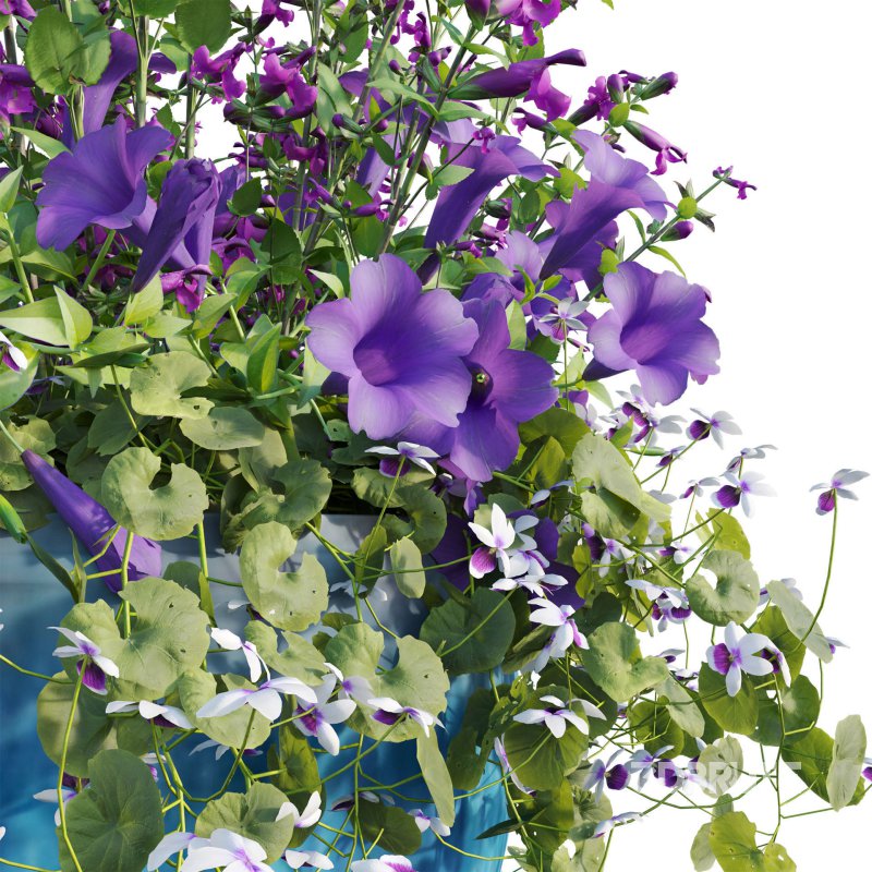 Pot plant 02 Image 4