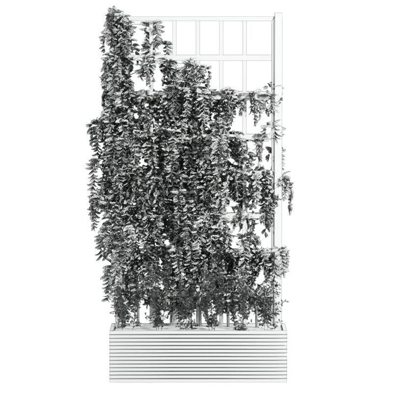 Plants_Set_66 Image 4