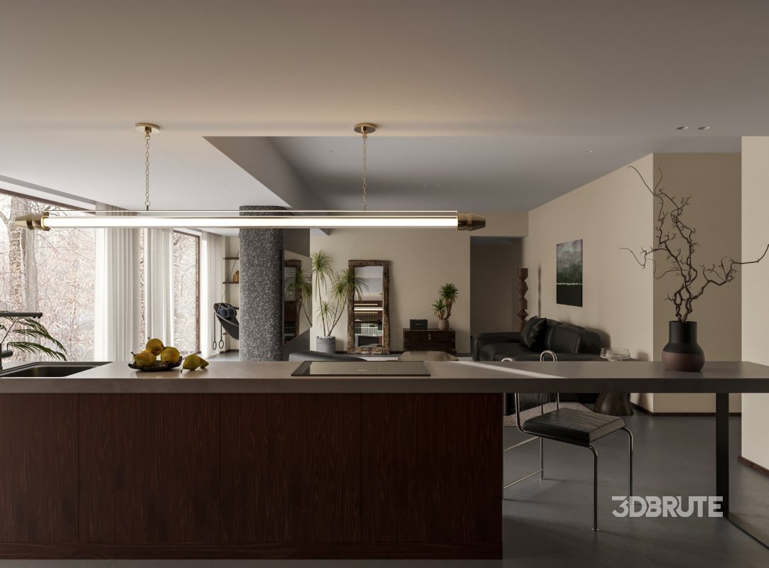 Living Room Dining Room Kitchen Image 4