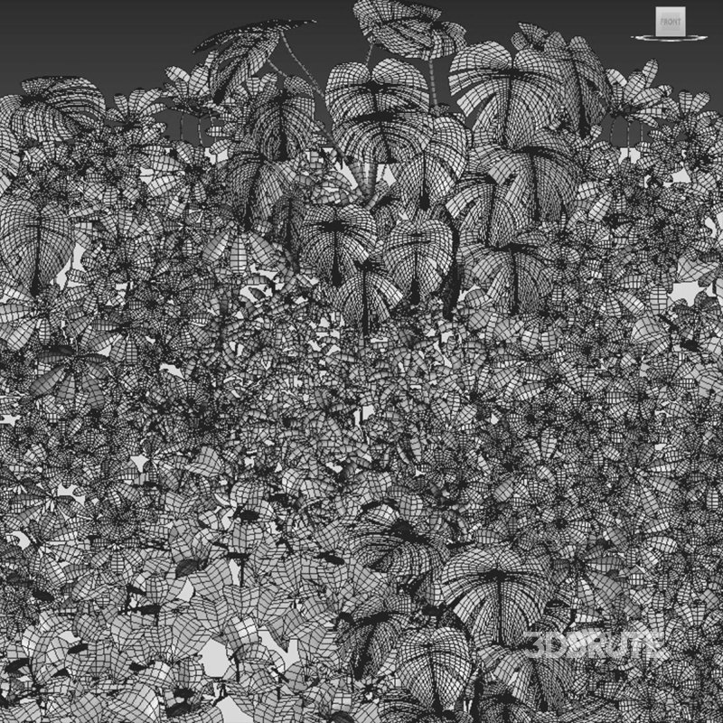 Vertical garden 03 Image 2