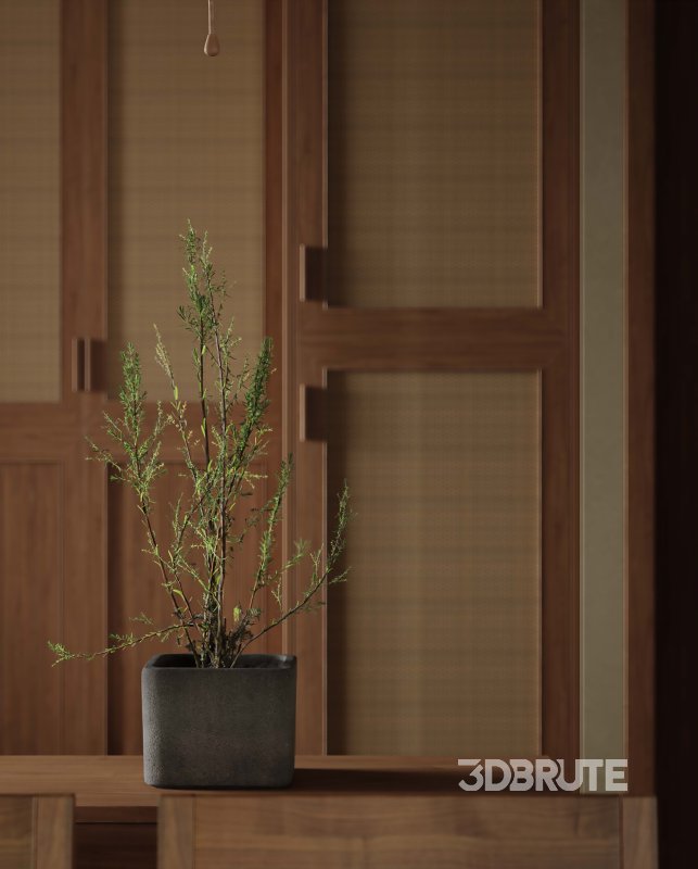 Living Room Dining Room Kitchen Image 10