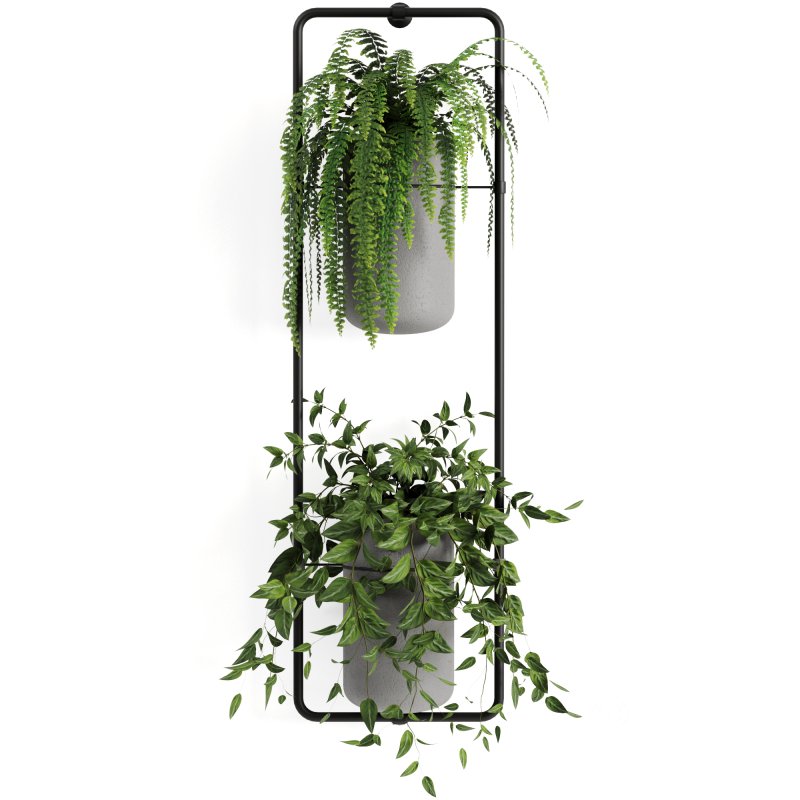 Indoorplants-shelf plants set156 Image 2