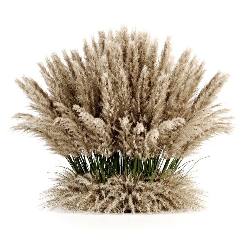 Bush-Pampas-set11