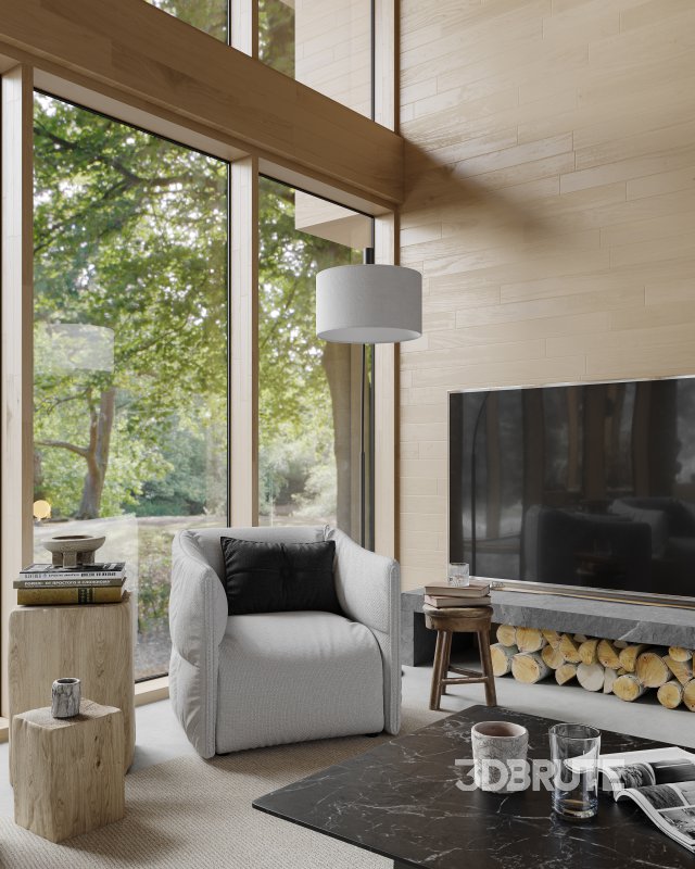 Living Room Image 10