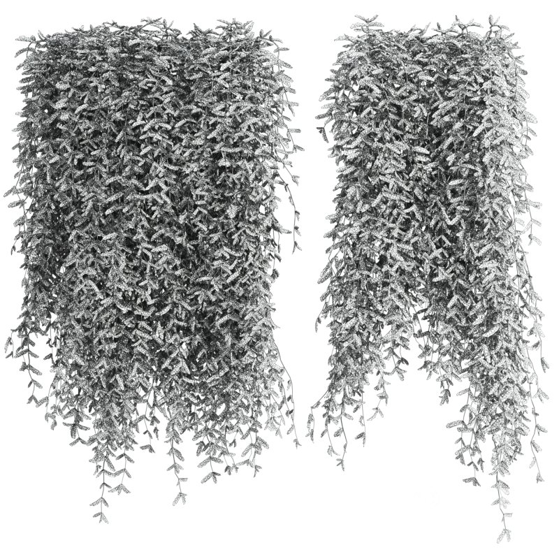 hanging plants Image 3