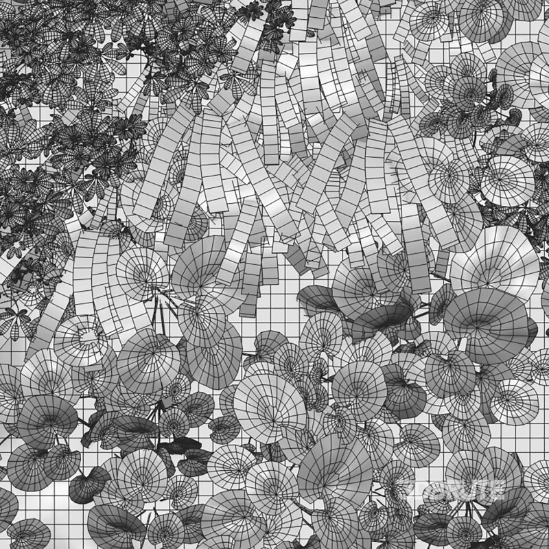 Vertical garden – Green wall – 01 Image 4