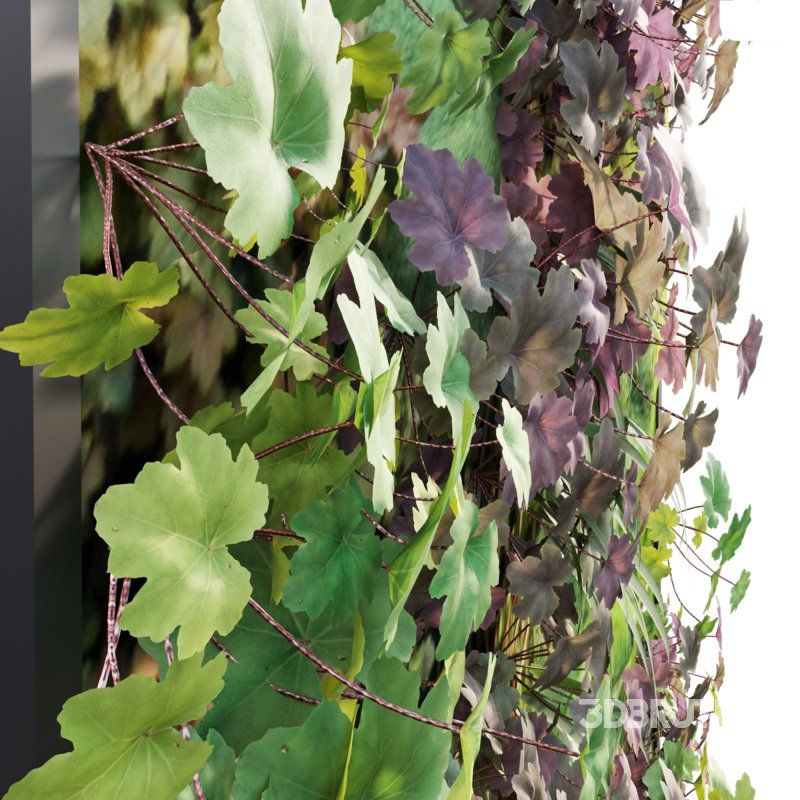 Vertical garden – Green wall – 01 Image 3