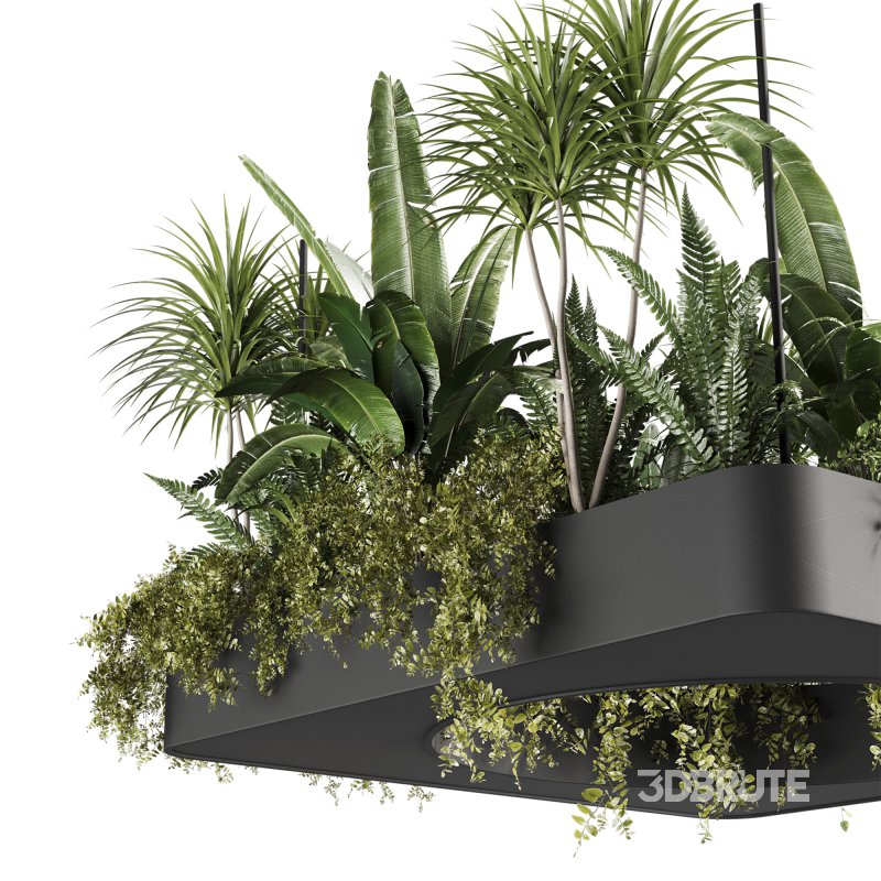 Indoorplants-Hanging set88 Image 4