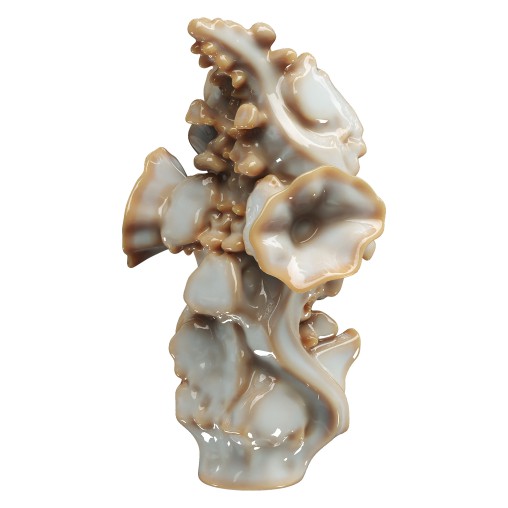 Decorative conch