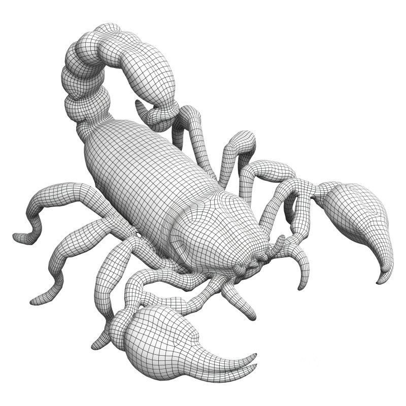robot scorpion Image 7