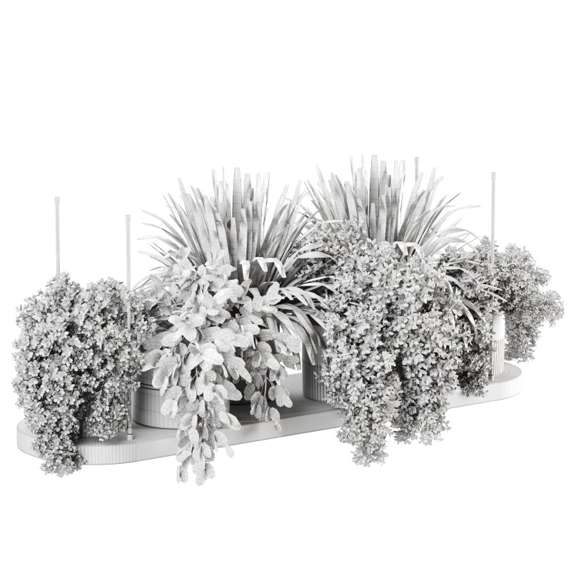 Indoorplants-Hanging plants set-85 Image 2