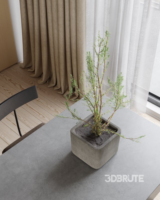 Living Room Dining Room Image 6