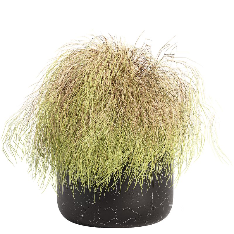 Outdoor Planters Image 7