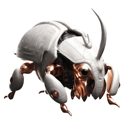 Beetle