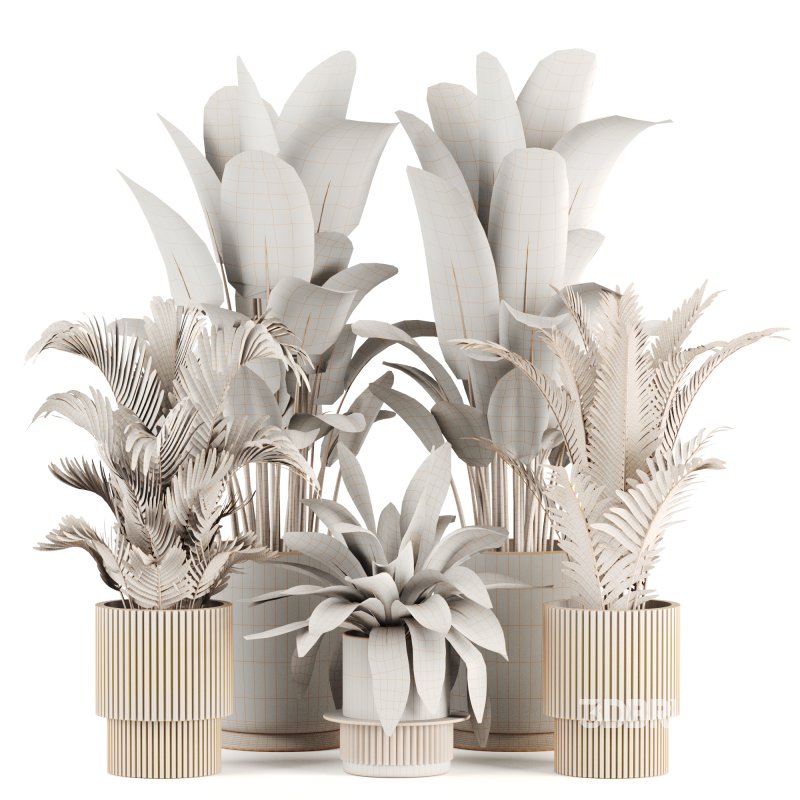 Indoor plants set159 Image 5