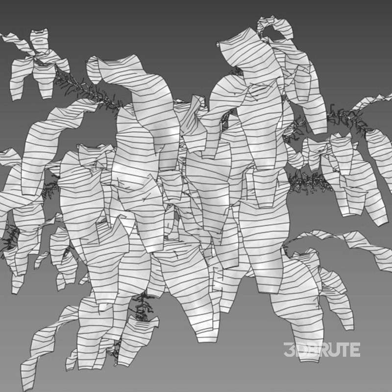 Neolepisorus fortunei Image 7