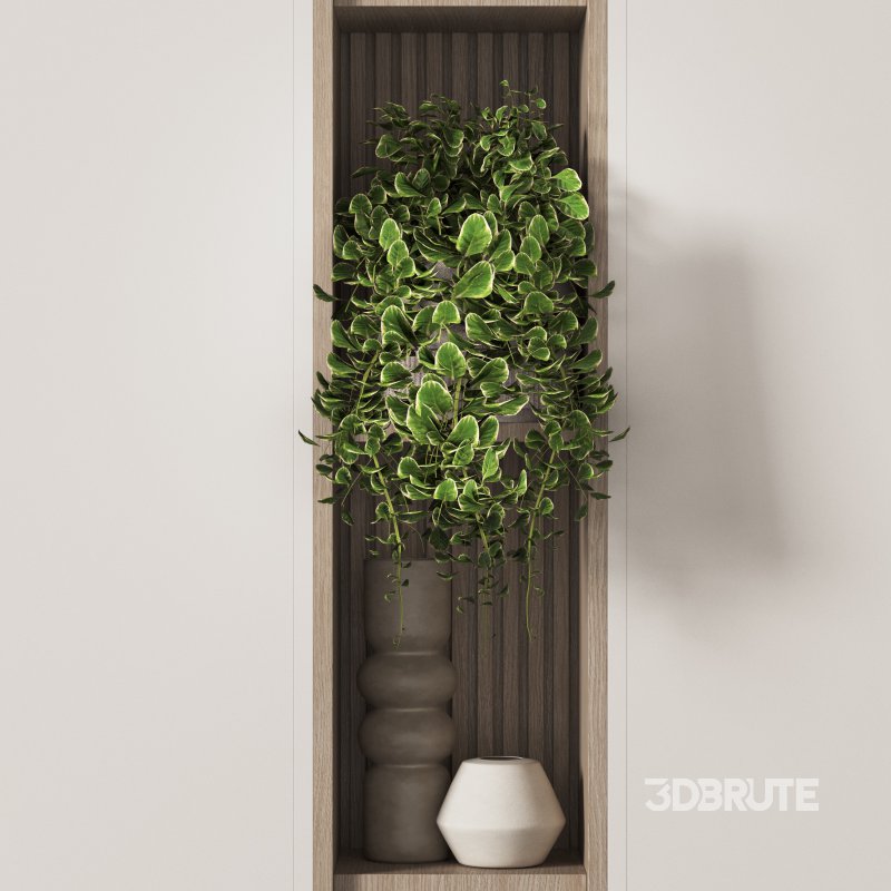 443 halway 443 Image 3