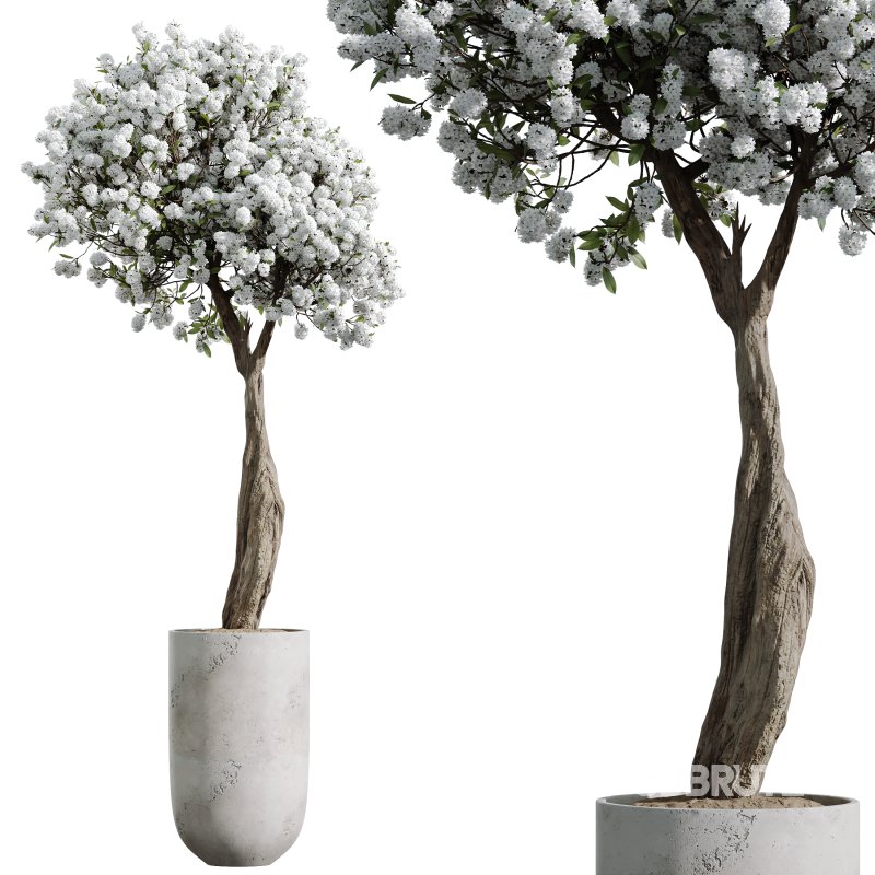 AV Tropez Planter Cherry Blossom Decorative Tree Image 4
