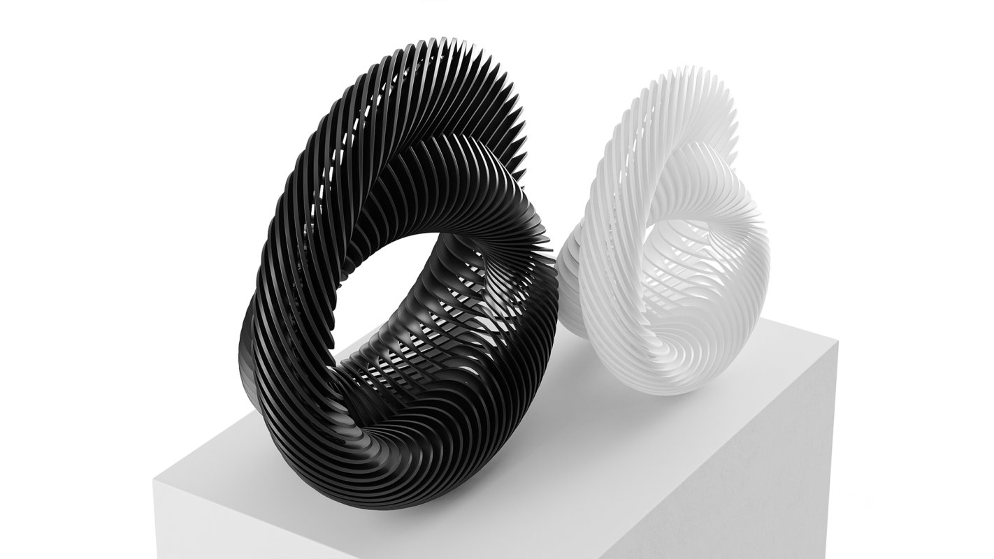 Abstract sculpture Nautilus Mobius Image 5