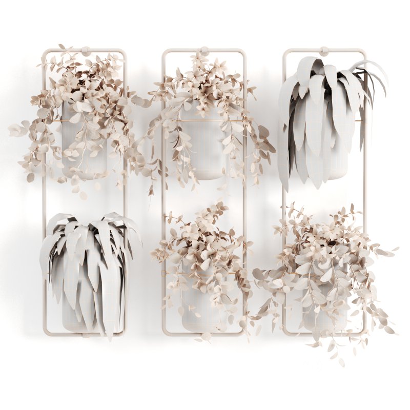 Indoorplants-shelf plants set156 Image 5