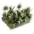 Indoorplants-Hanging set88 - Thumbnail 1