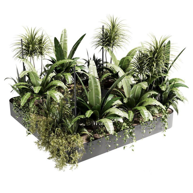 Indoorplants-Hanging set88 Image 1