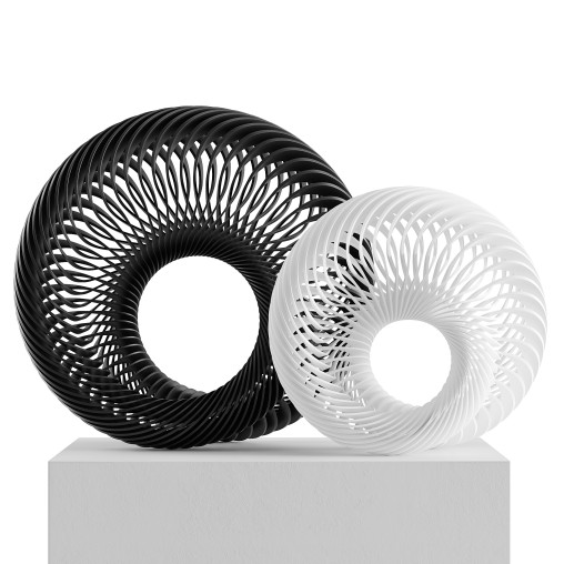 Abstract sculpture Nautilus Mobius