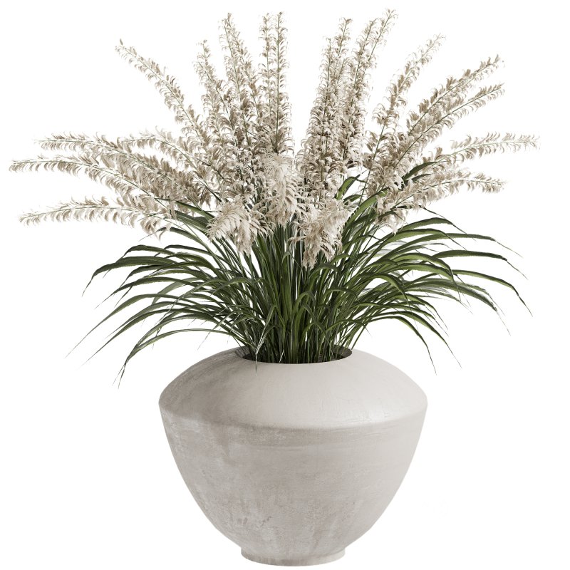 Outdoor Plant 39 Image 4