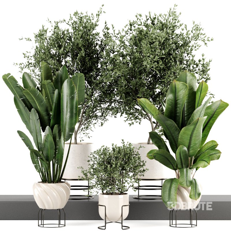 Indoor Plants set 165 Image 1