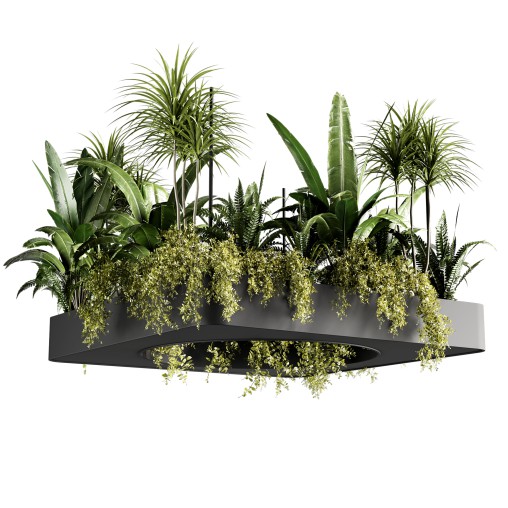Indoorplants-Hanging set88