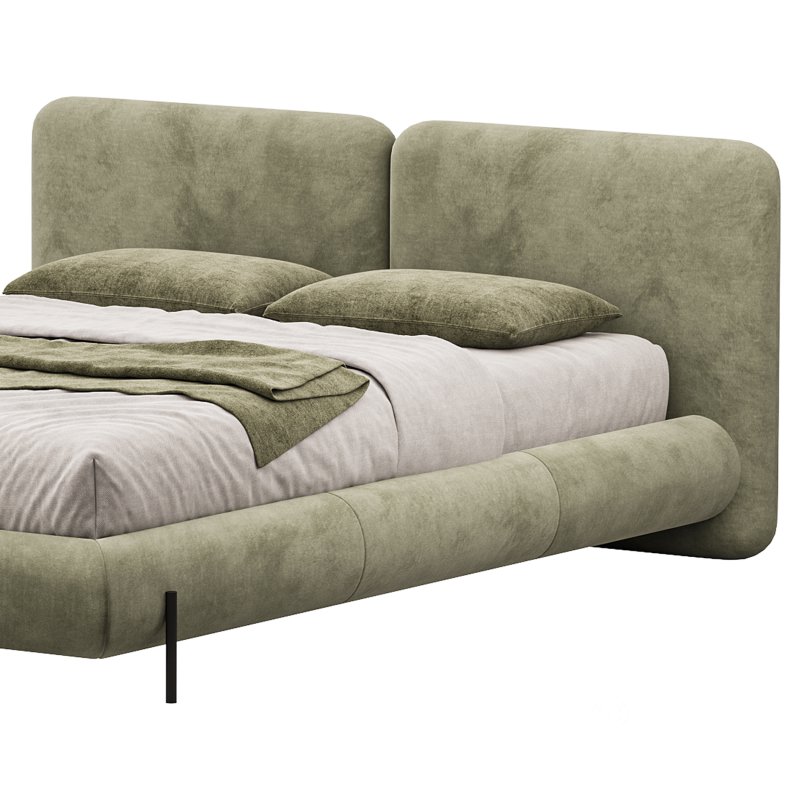 The TROPHAS bed Image 12