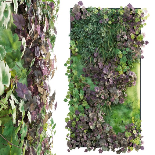 Vertical garden – Green wall – 01