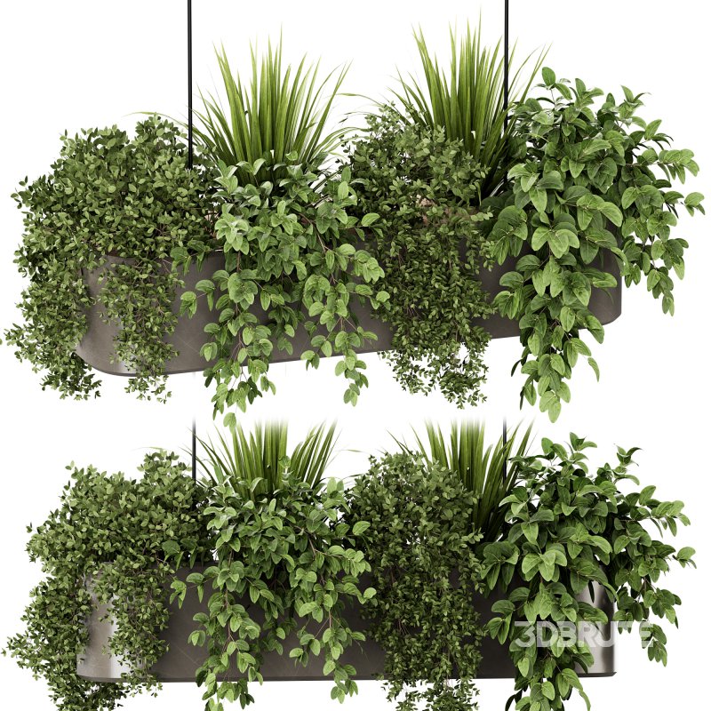 Indoorplants-Hanging set87 Image 3