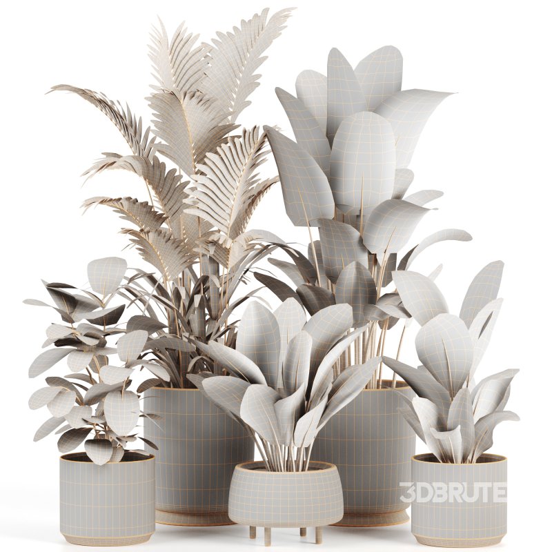 Indoor plants set158 Image 3