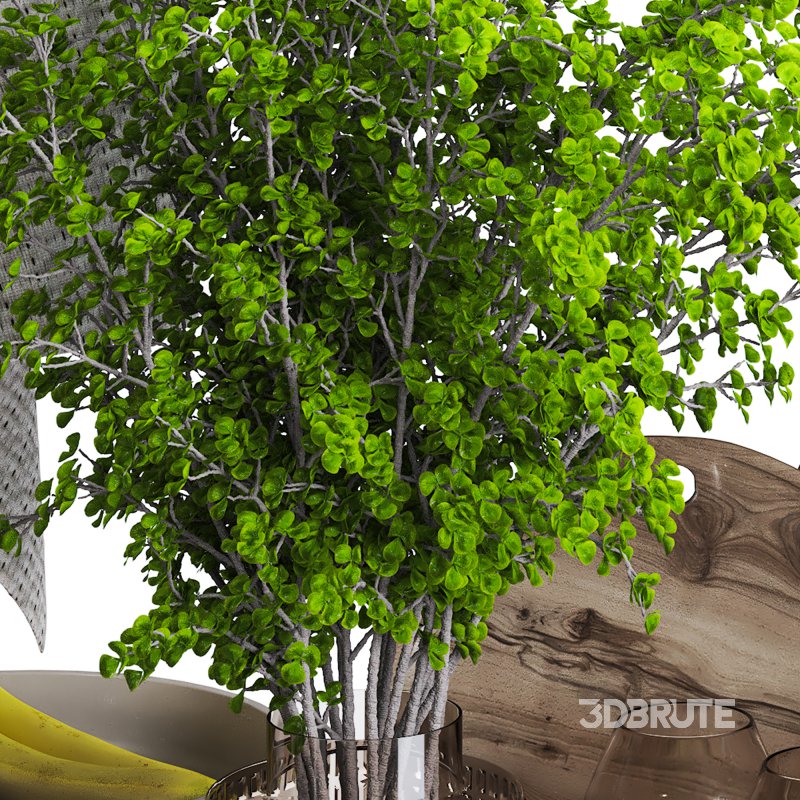 Kitchen accessories 010 Image 5