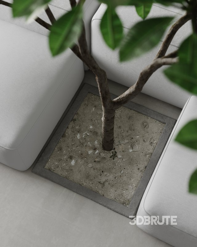 Living Room Dining Room Bedroom Image 16