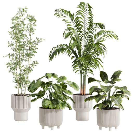plants set