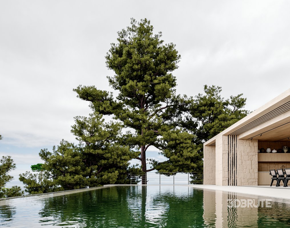 Living Room Dining Room Pool Image 1