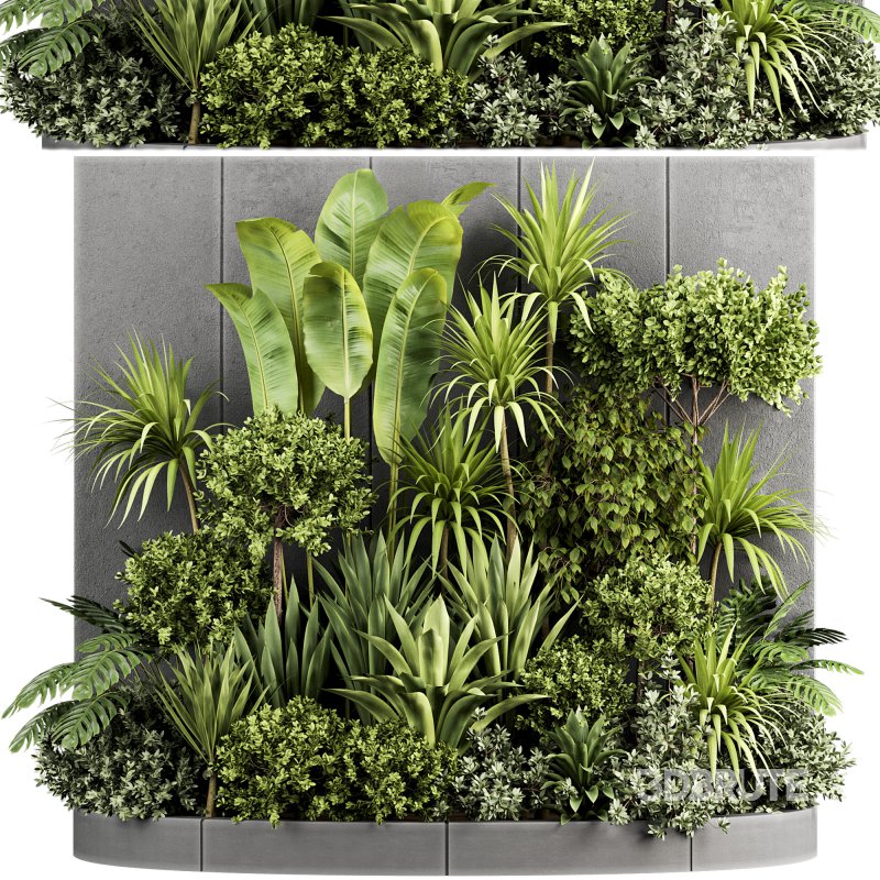 Plants In Box set-154 Image 2