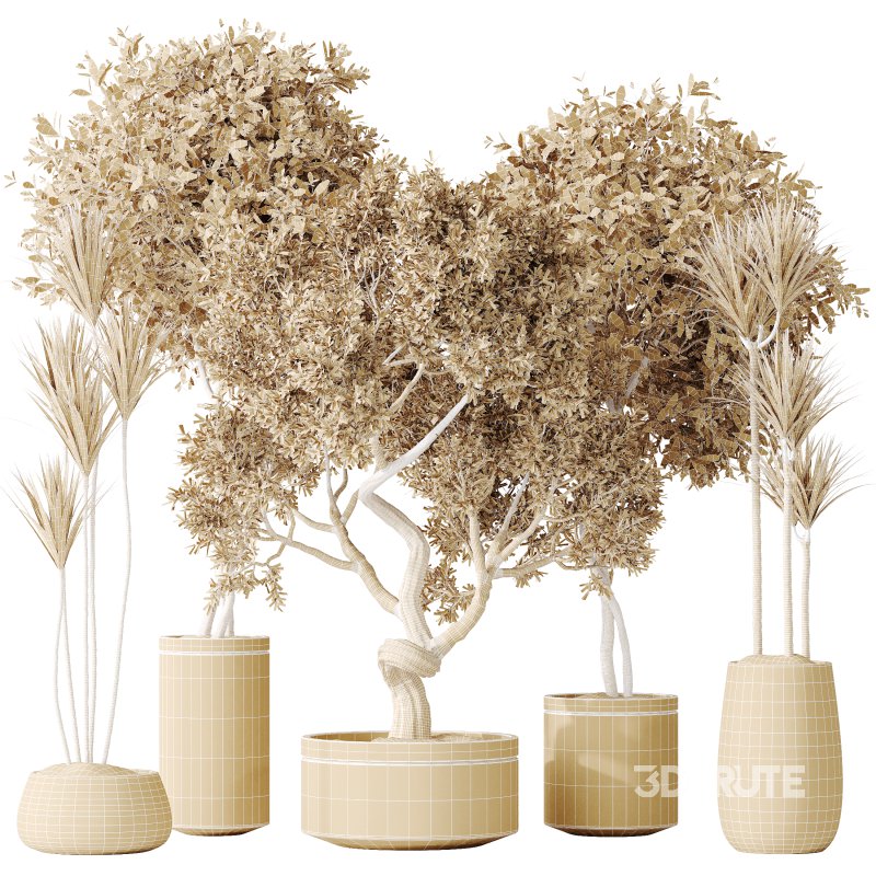 AV Indoor plants set 160 Artificial Olivo Olea Tree and Yucca Elephantipes Gigantea and Ficus Retusa Microcarpa Bonsai Ginseng Image 7